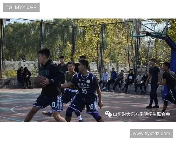 成都篮球队心理素质的变革与发展探讨 成都篮球队心理素质的变革与发展探讨