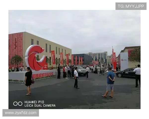 对话陈敏：回顾排球生涯的辉煌与挑战与未来展望