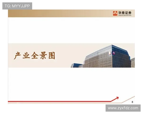 成都乒乓球队转型之路的挑战与机遇全景解析