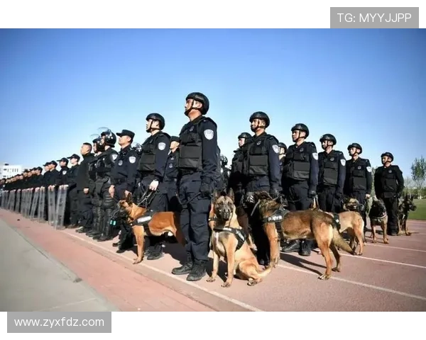 杭州羽毛球队防守革新之路：技术提升与战术创新的深度解析