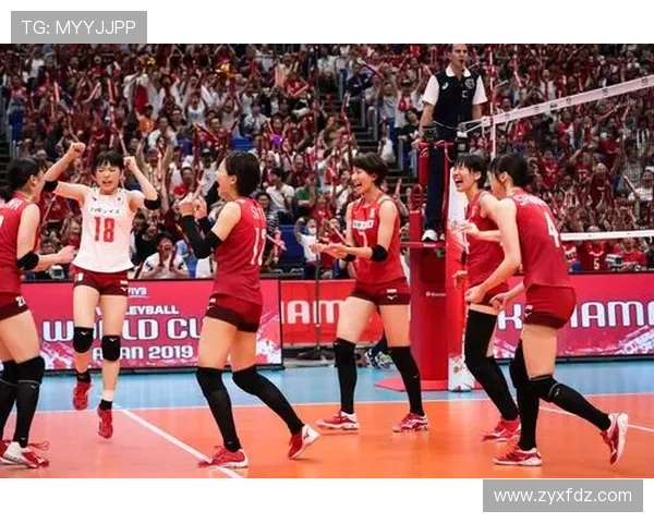 南京排球队以74分领跑世界杯积分榜展现强大实力与团队合作精神