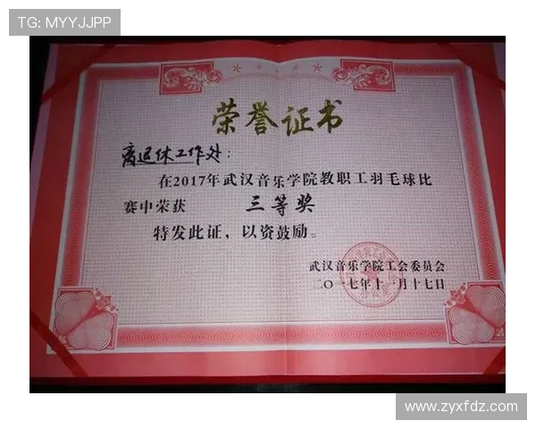 武汉羽毛球队个人能力分析与表现评估研究报告